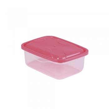 ORGANIZADOR G RETANGULAR - 1,390ML