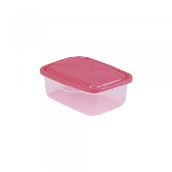 ORGANIZADOR M RETANGULAR - 700ML