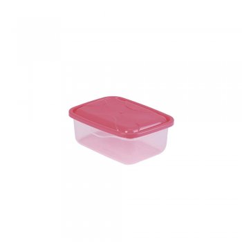 ORGANIZADOR P RETANGULAR - 300ML