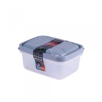 ORGANIZADOR RETANGULAR G - 1,390ML - 2PÇS
