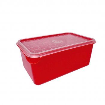 ORGANIZADOR MULTIUSO - 6L