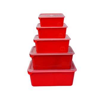 ORGANIZADOR MULTIUSO - 1/2/3/4,5/6L - 5PÇS