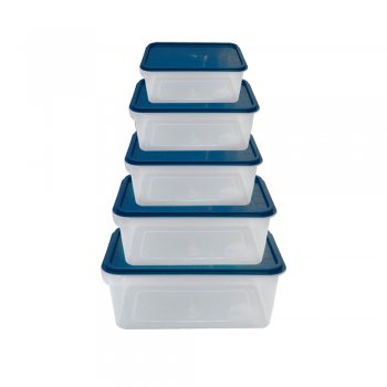 ORGANIZADOR MULTIÚSO PMG - (4,5L+6L) - 5PÇS
